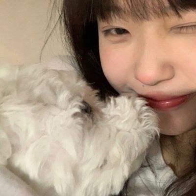 巨龙之眼单机版下载